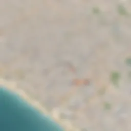 Crafting Exceptional Google Maps Reviews