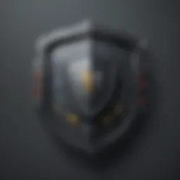 Data Security Shield