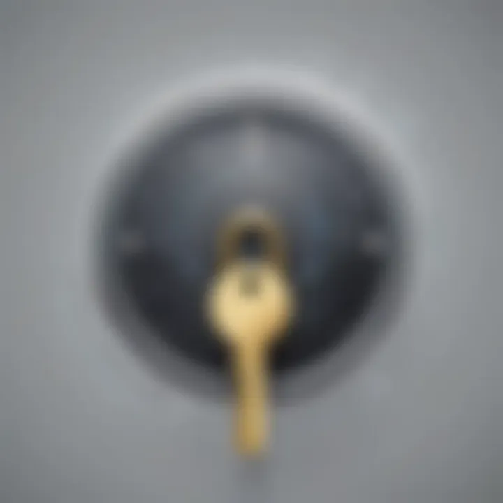 Digital Lock Key