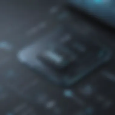Dynamic VoIP Software Applications
