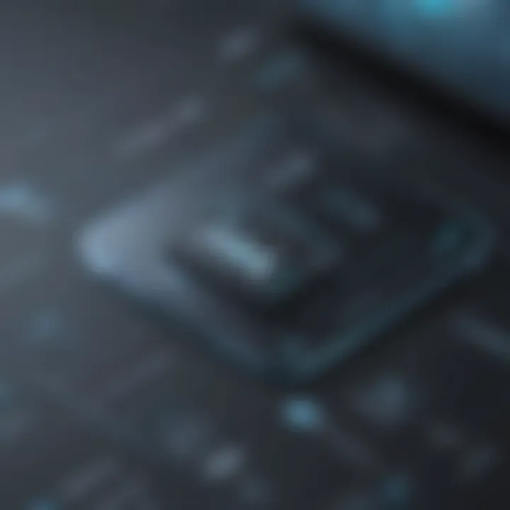 Dynamic VoIP Software Applications