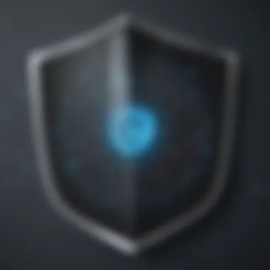Data Protection Shield Data Protection Shield