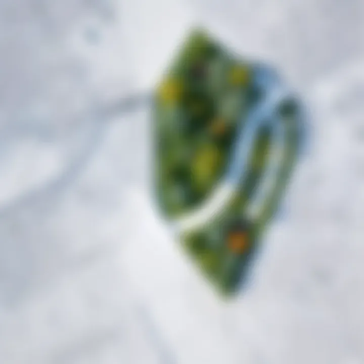 Aerial view of a sustainable landscape project