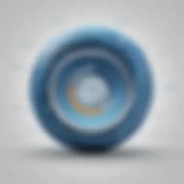 Unveiling Blue Marble Payroll User Experiences Blue Marble Payroll User Experience Insights