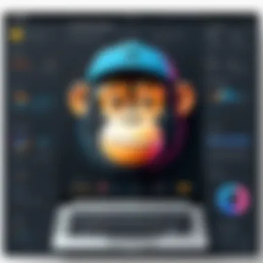 Mailchimp User Interface Overview Visual representation of Mailchimp's user interface showcasing its dashboard features