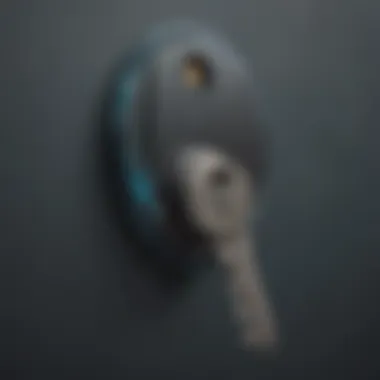 Digital Access Control Key Digital Access Control Key
