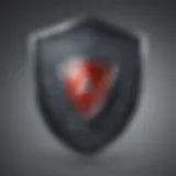 Shield icon representing cybersecurity protection