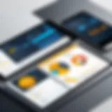 Visual representation of SAP Trade Promotion Management interface