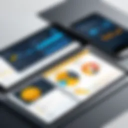 Visual representation of SAP Trade Promotion Management interface