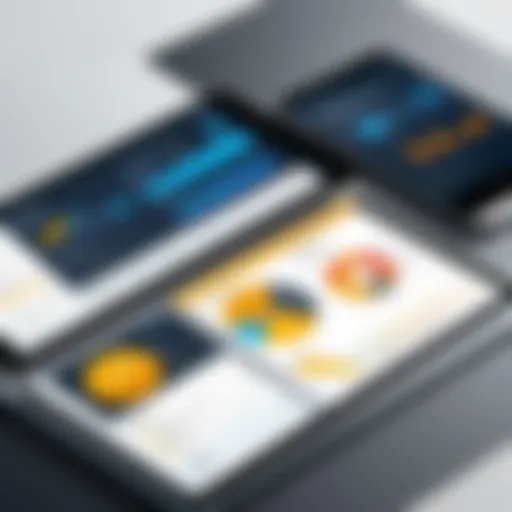Visual representation of SAP Trade Promotion Management interface
