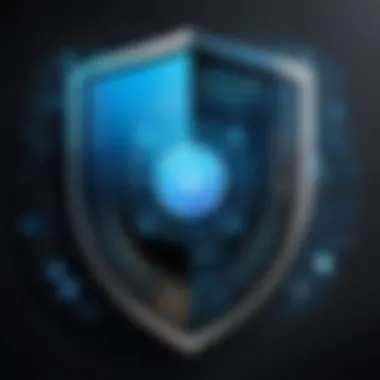 Data Encryption Shield Data Encryption Shield